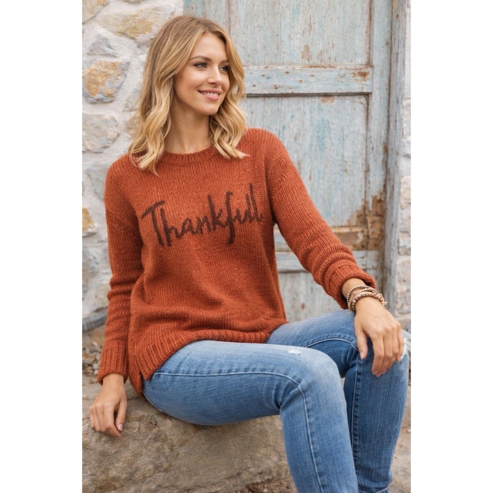 Wooden Ships Thankful Knit Sweater Rust Orange Mohair Wool Blend S/M